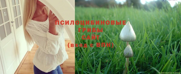 спиды Новозыбков
