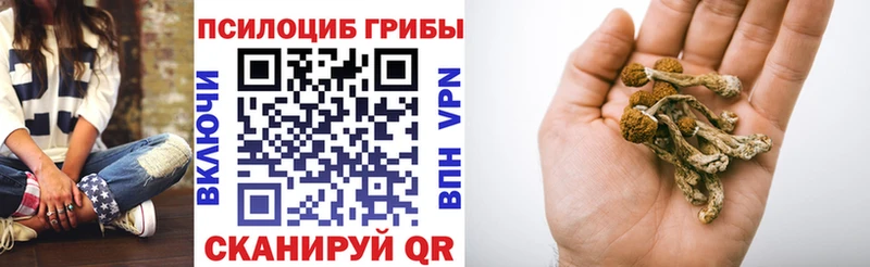 KRAKEN ссылка  Муравленко  Псилоцибиновые грибы Psilocybe 